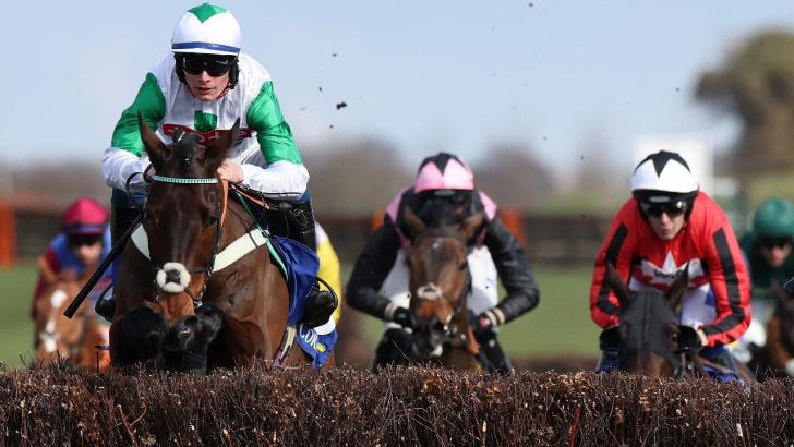 Ayr racecourse